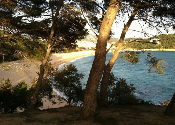 Villa Zen Costa Brava Lloret de Mar